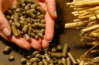 free Brede biomass boiler quotes